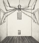 Spider, plate 11 of 11, from the illustrated book, He Disappeared into Complete Silence, second edition