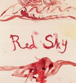 Untitled, no. 9 of 11, from the series,  The Red Sky