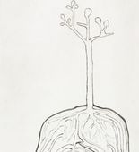 The Ainu Tree